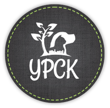 [YPCK, LLC logo]